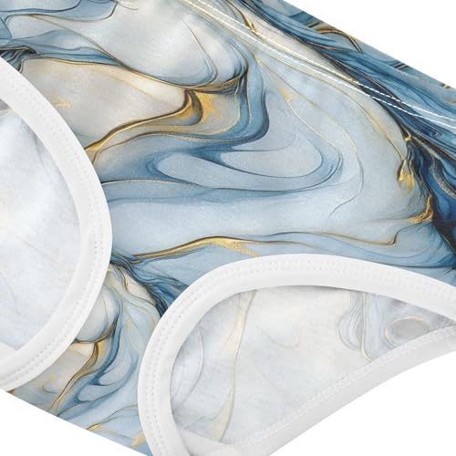 Blue Gold Marble Horse Toddler Girls's Underwear 2T 202b87644