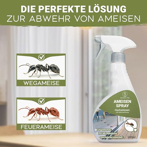 Ameisenspray 500 ml - Hochwirksames Anti Ameisen Spray - Mittel gegen Ameisen mit Sofortwirkung für Innen & Außen, Laborgeprüft und zuverlässig