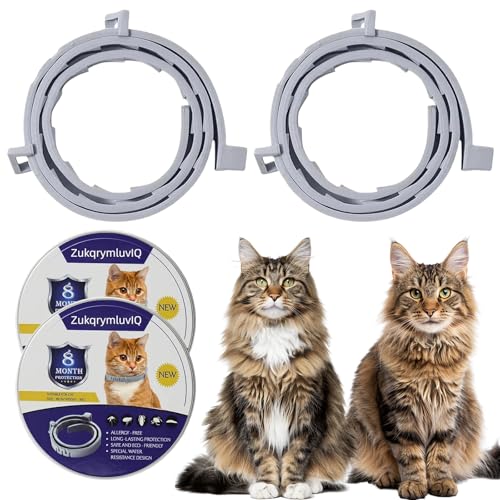 2 Pack Cat Collar with Essential Oils, 16-Month Use, Waterproof & Adjustable