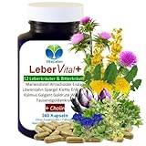 Naturheilmittel Heilsteine Methusalem GmbH Neu-Ulm