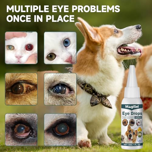 MagiSel Spezial Augentropfen für Hunde und Katzen 30 ml, Augentropfen für Hunde & Katzen mit kolloidalem Silber, Augentropfen Kolloidales Silber Hund, Augenpflege – Juckreiz, Reizung, Tränenflecken