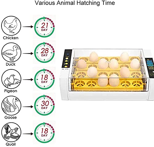 Automatische ei-incubator, 24 eieren geleid hoog-efficiëntie automatische temperatuurregeling, automatische ventilatie… - Afbeelding 3