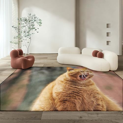 かわいい ラグマット おしゃれ 猫 洗えるふわふわの滑り止めラグ、約3畳(200x250cm)、軽量で折りたたみ可能、ペットにも優しいラグ、リビング、廊下、ホームオフィス、キッチンに最適、オールシーズンに最適