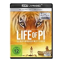 Life of Pi - Schiffbruch