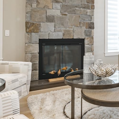 Image of Stanbroil Fireplace Glass Cabinet-Style Door, Black, Large