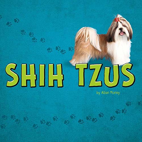 Shih Tzus by Allan Morey episode artwork
