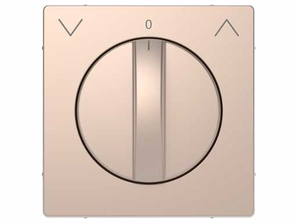 Schneider Electric mtn3875 – 6051 Remote Control Rotary Dimmer Blinds for Mechanisms of the Range D-Life, Champagne