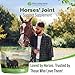 Silver Lining Herbs Horse Joint Support Supplement - Joint Complex, Mobility & Comfort Horse Supplements - Equinety Supplement with Natural Herbal Blend of Ginger, Burdock & More - 5 lb (300 Servings)