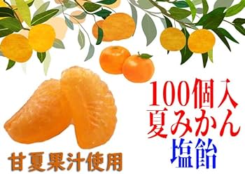 Amazon.co.jp: みかん塩飴（夏みかん味） 100個入 個包装 業務用