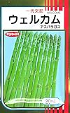 ウェルカム サカタのアスパラ種です