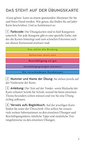 Hunde-Gassi-Box: Für ein entspanntes Zusammenleben! Plus Täschchen für Gassi-Beutel (GU Hundeerziehung)