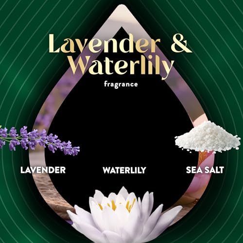 Air Wick Plug In Refills, Lavender & Waterlily, Scented Oils, 4ct - image 5