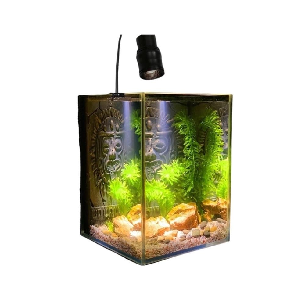 Aquarium Ultraweißes Glas-Aquarium for den Schreibtisch im Wohnzimmer oder Büro – Kampffischbecken