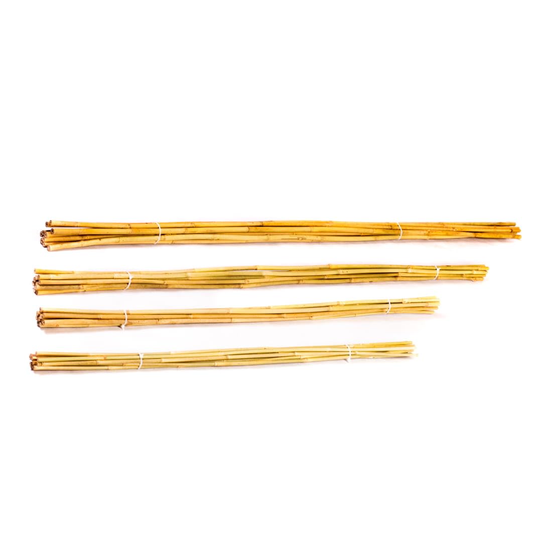 Tyczki bambusowe - 180cm - 10/12mm - 100 sztuk