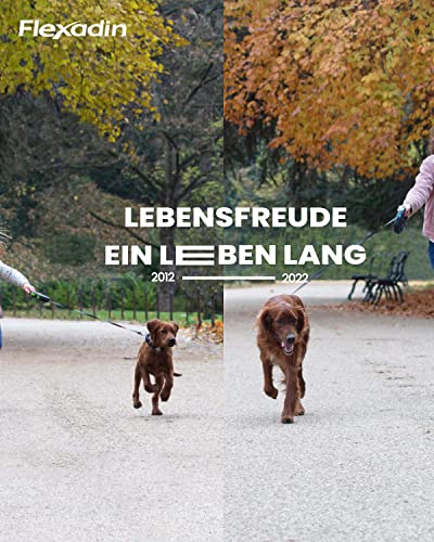 FLEXADIN® Adult Dog| Für gesunde Gelenke von Erwachsenen Hunden| mit Nicht denaturiertem Kollagen Typ II – 2 Monatspackung
