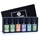 Lagunamoon Essential Oils Top 6 Gift Set  Pure Essential Oils for Diffuser, Humidifier, Massage, Aromatherapy, Skin & Hair Care