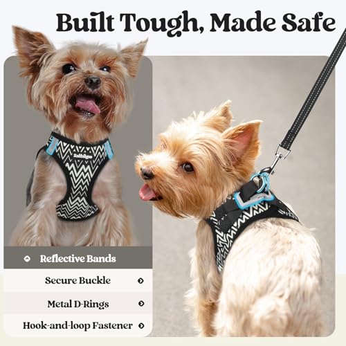 Image of rabbitgoo Dog Harness Small Sized and Leash Set, Step-in Puppy Pet Vest