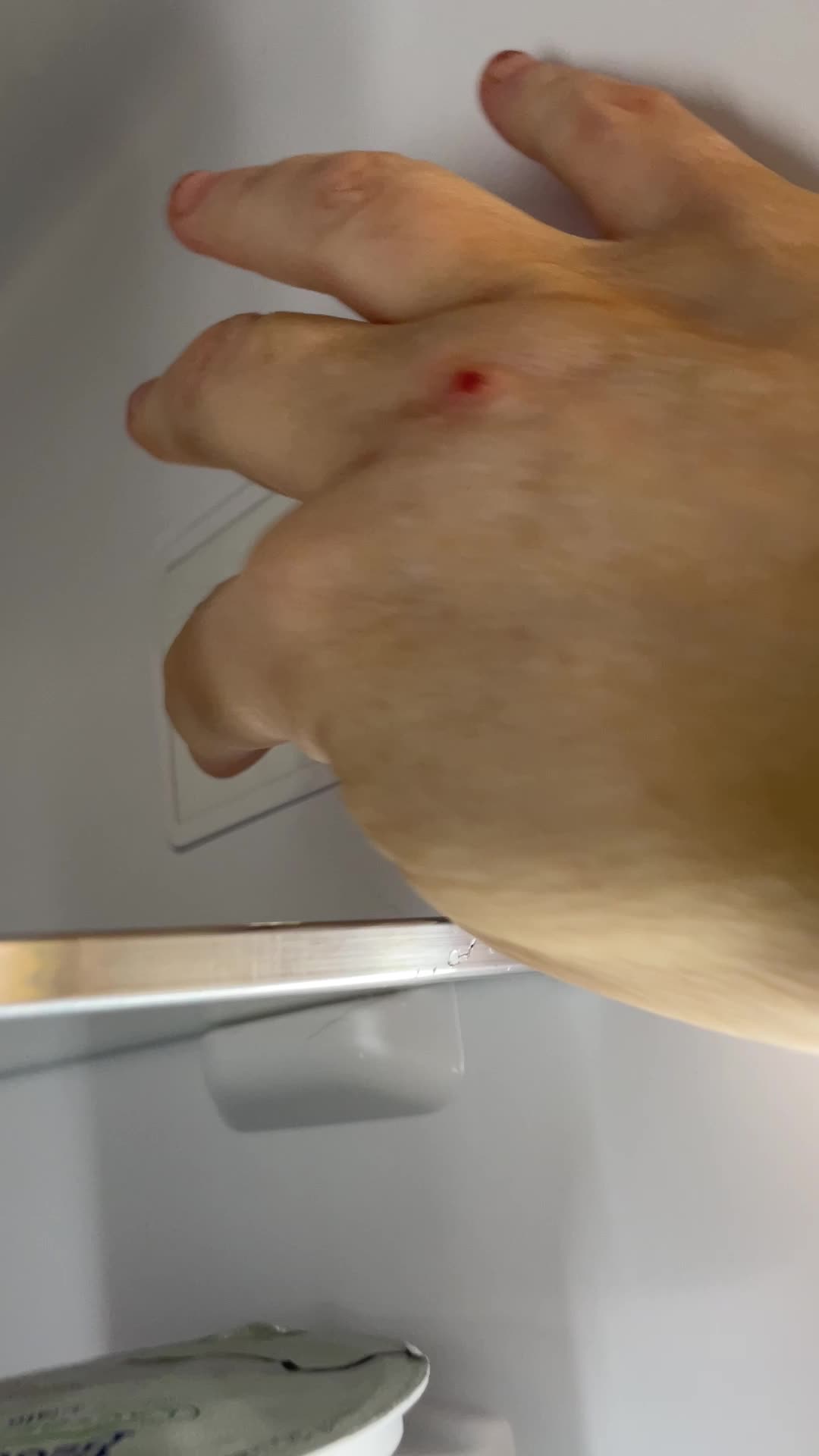 The refrigerator I always wanted