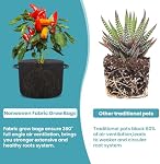 SunStream 10-Pack 2 Gallon Heavy Duty Thickened Nonwoven Fabric Pots Grow Bags with Handles