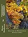 Produktbild Microhistological Atlas of Select Woody Plants of North America: Atlas for the Microscopical Analysis of Diet