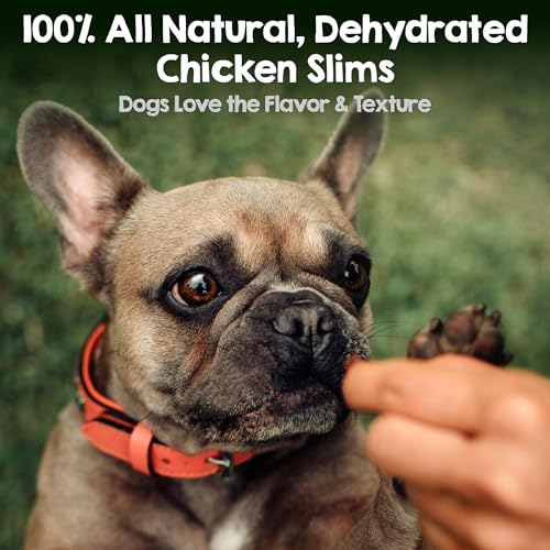 Image of Riley's Slims Chicken Sticks for Dogs - Natural USA Sourced Dehydrated Chicken Jerky Treats, Made in The USA - 2 Pack