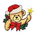 ID #8028 Magic Teddy Bear & Christmas Holly Embroidered Iron On Applique Patch