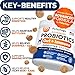 (2 Pack) Probiotics for Dogs - 340 Dog Probiotics Chews - Digestive Enzymes & Prebiotics - Support Gut Health, Diarrhea, Gas & Constipation Relief - Itchy Skin, Allergies - Advanced Supplement
