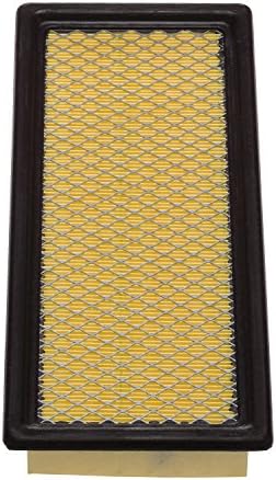 Champion CAP10170 Engine Air Filter