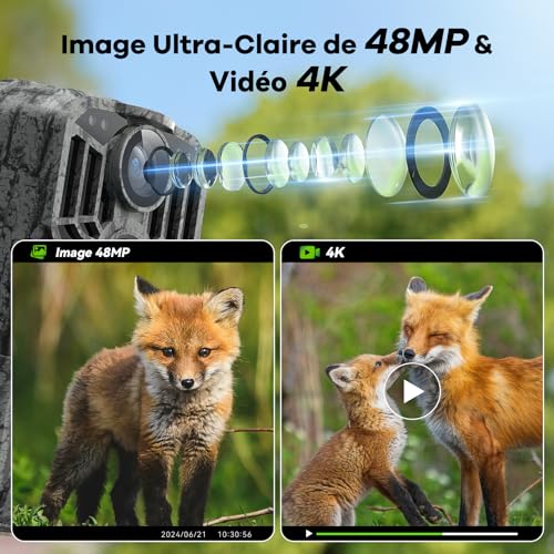 Piège photographique pour observer les animaux du jardin en 4K