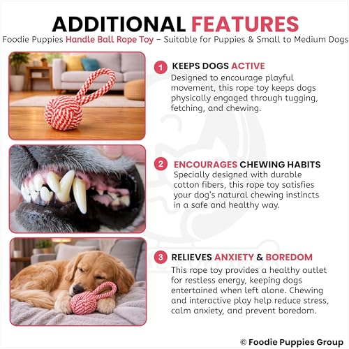 Image of Foodie Puppies Durable Cotton Rope Chew Toy for Dogs | Chewing, Fetching, Playing, Teething & Training for Small to Medium Dogs & Puppies (Color May Vary)