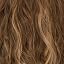 Brown with Honey Blonde