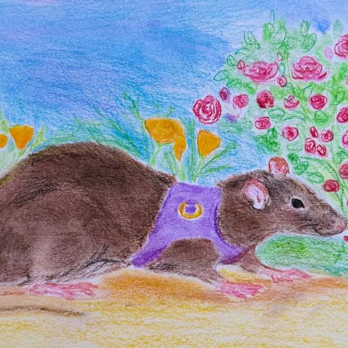 Whisk, A Racing Rat!