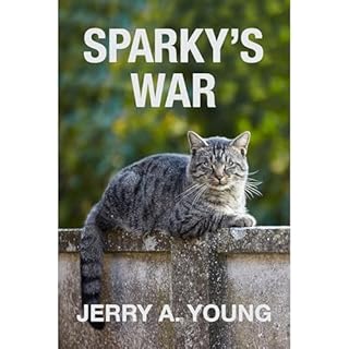 Sparky's War Audiolibro Por Jerry A Young arte de portada