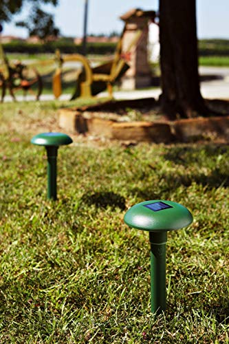 Verdemax 4508 Repellente Per Talpe E Roditori - 4