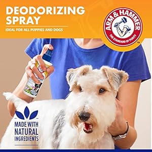 Arm-Hammer-For-Pets-Super-Deodorizing-Spray-for-Dogs-Best-Odor-Eliminating-Spray-for-All-Dogs-Puppies-Fresh-Kiwi-Blossom-Scent-That-Smells-Great-67-Ounces-1-Pack-FF9367 - Cucciolini Doodles   Arm-Hammer-For-Pets-Super-Deodorizing-Spray-for-Dogs-Best-Odor-Eliminating-Spray-for-All-Dogs-Puppies-Fresh-Kiwi-Blossom-Scent-That-Smells-Great-67-Ounces-1-Pack-FF9367