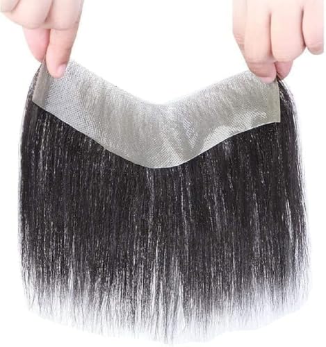 NICEHAIR Y EBbO  z ݏグ XeX ٍ O l  EBbO RʋC F Xg[g GNXe j