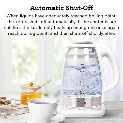 Tribest GKD-450 Hot Water Kettle, Electric Water Boiler & Water Warmer with Glass Tea Kettle, 110V, White - Thumbnail 6