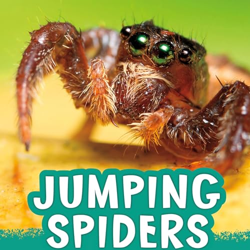 Jumping Spiders by Jaclyn Jaycox episode artwork