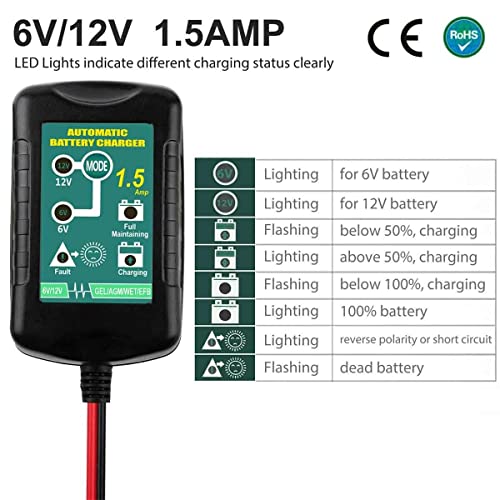 12V Smart Charger Maintainer