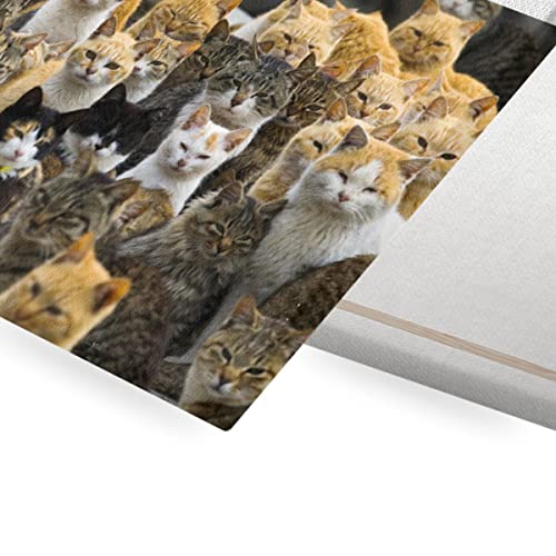 Tableau Japon Ile Chat Mignon Chats Roux Umashima Décoration Murale Douce