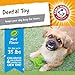 Arm & Hammer for Pets Nubbies Dental Toys T-Rex Dental Chew Toy for Dogs Best Dog Chew Toy for Moderate Chewers Reduces Plaque & Tartar Buildup Without Brushing, Mint Flavor (Pack of 1)