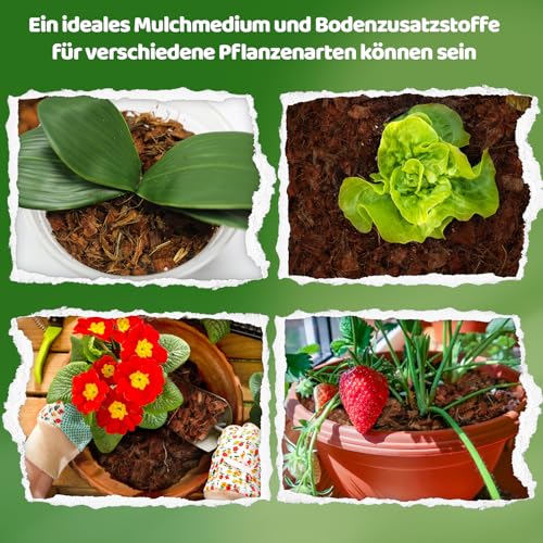 GOTVUGE Kokoschips Pflanzen Substrat, Bio Kokosnussschalenziegel mit niedrigem EC- und pH-Ausgleich, leicht erweiterbares Kokosfaser-Mulchmedium für Gartenblumen & Reptilienbeete (1 Stück)