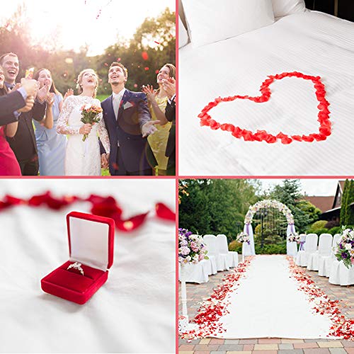 Sumind 2000 Pezzi Petali di Fiori Artificiali