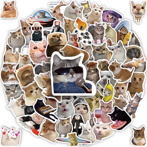 100 Pcs Cat Stickers Funny Cat Meme Stickers Cute Kitten Packs