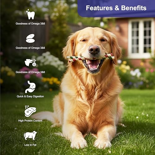 Image of Non-Rawhide Dog Chews, Two Tone Chewy Roll for Dogs, 225g | Safe & Digestible Treats | Healthy Chew Sticks for All Breeds & Sizes