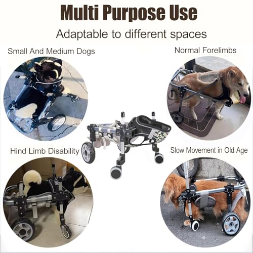 Fauteuil roulant pour chien paralysé : solution ajustable 4 roues membres postérieurs - 5