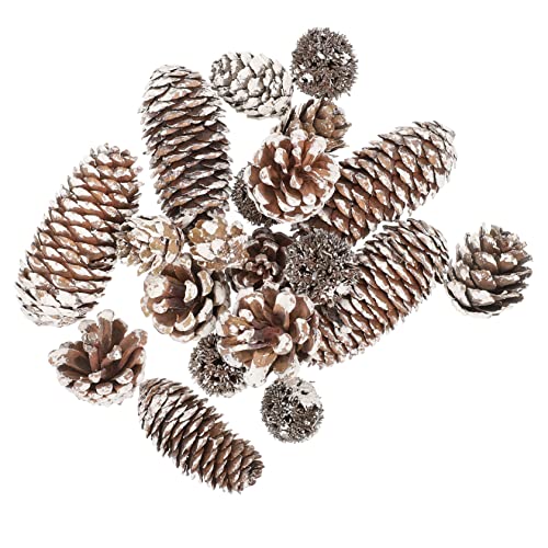 BELLIFFY Bulk Dried Pine Cones Kit Christmas Pinecone Ornaments for DIY Decorations Xmas Dec