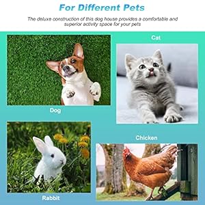 Fdw Dog House Indoor Outdoor Durable Ventilate Waterproof Pet Plastic Dog House for Small Medium Large Dogs Insulated Puppy Shelter Kennel Crate with Air Vents and Elevated Floor  Cucciolini Doodles Fdw dog house indoor outdoor durable ventilate waterproof pet plastic dog house for small medium large dogs insulated puppy shelter kennel crate with air vents and elevated floor   cucciolini doodles