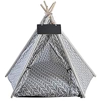 Tipi