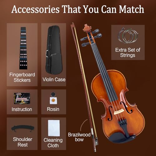 Professional Violin Beginner Full Size